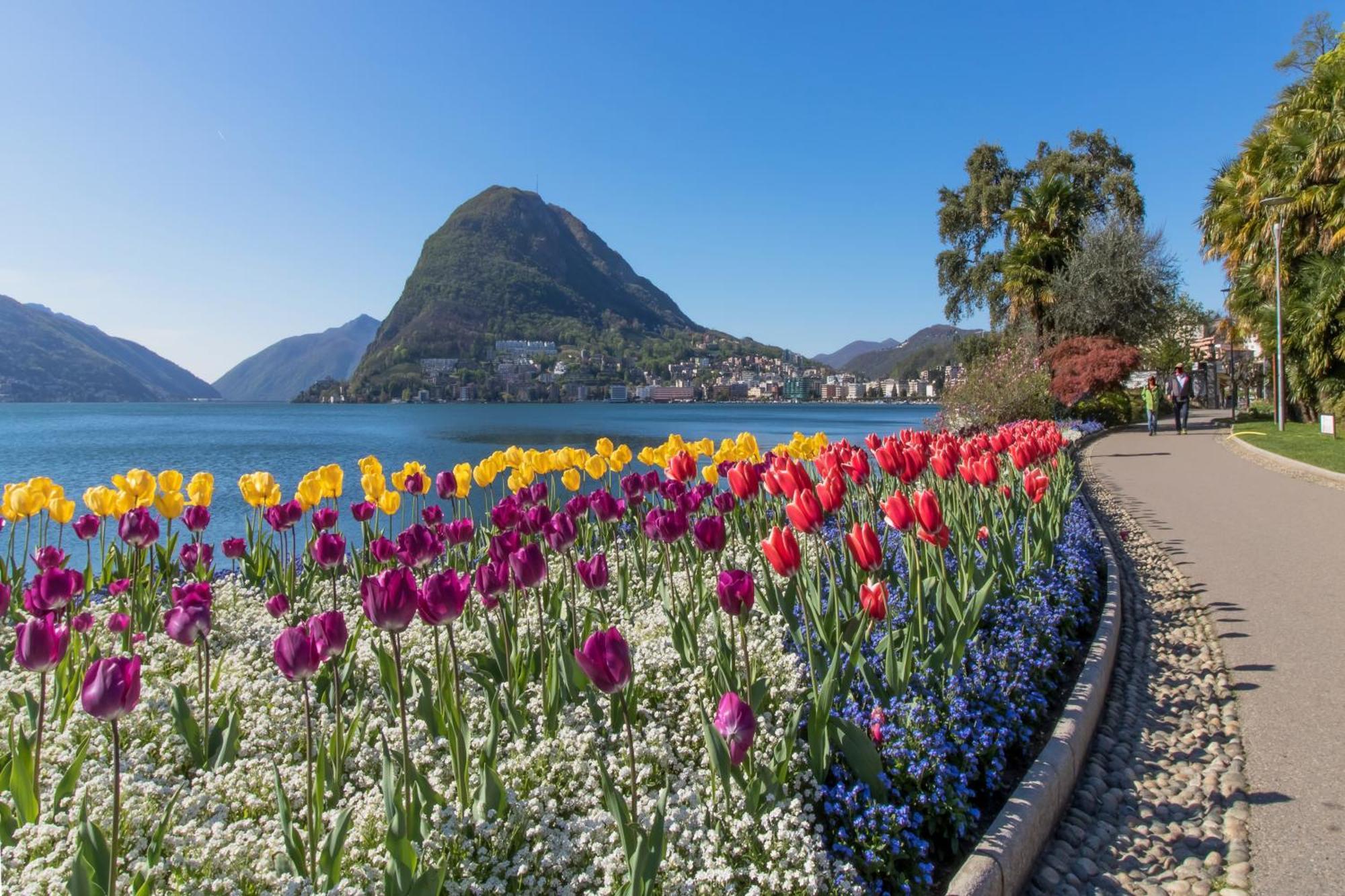 Love Of Lugano - Happy Rentals Eksteriør bilde